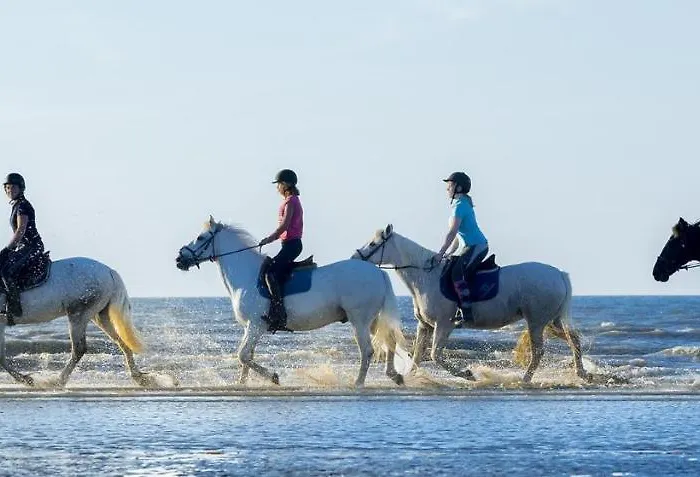 Studio La Fregate Hyper-centre Διαμέρισμα Cabourg