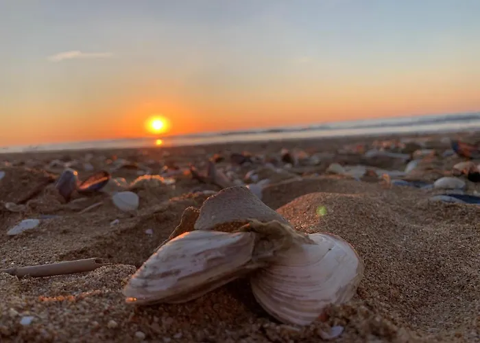 Studio La Fregate Hyper-centre